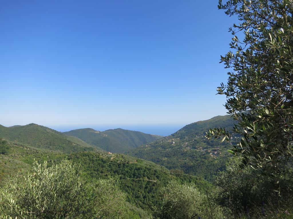 Ceriana Rustic Liguria 빌라 외부 사진